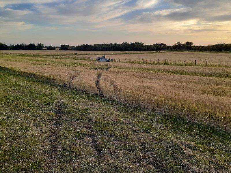 WhatsApp-Image-2021-10-31-at-07.17.51