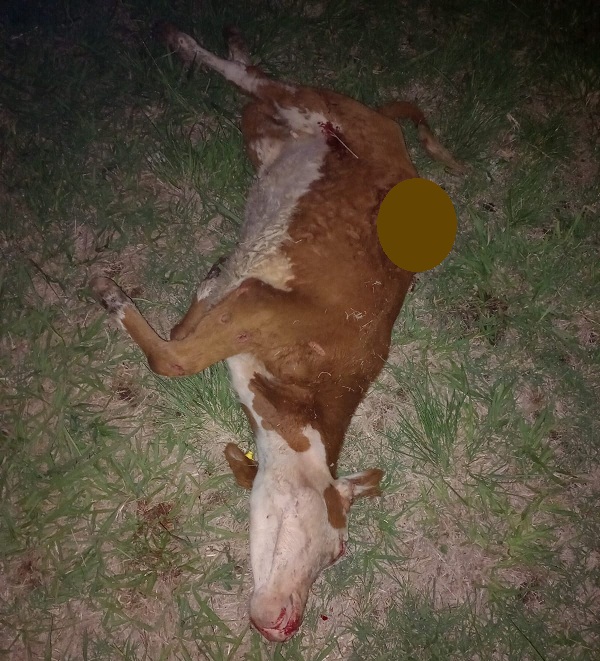 WhatsApp-Image-2023-02-17-at-09.04.281