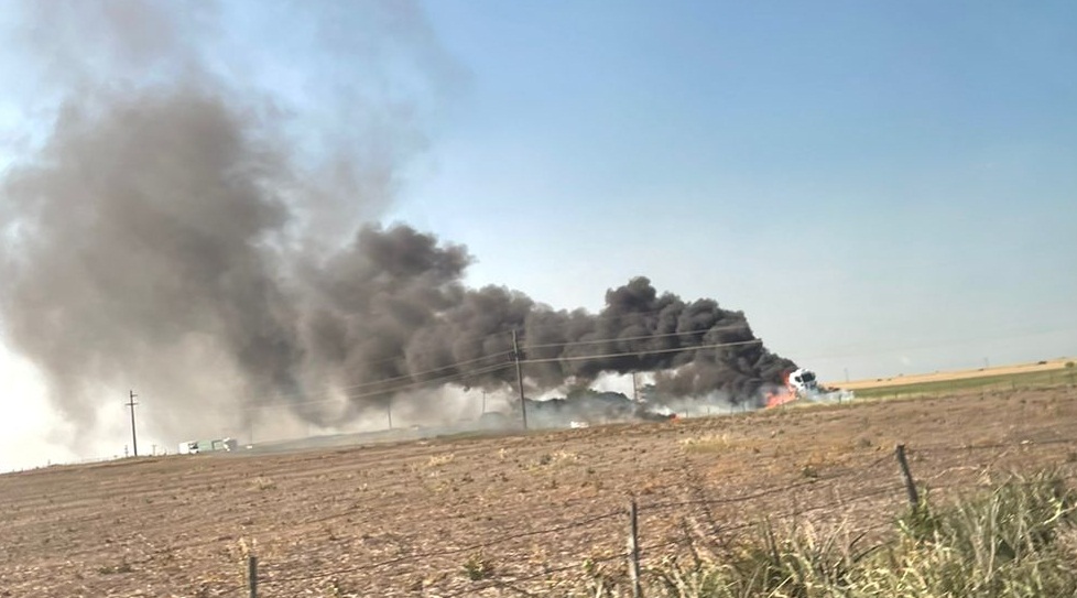 WhatsApp-Image-2023-11-08-at-7.18.19-PM