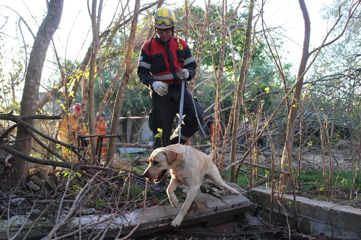 WhatsApp-Image-2021-09-20-at-09.31.48