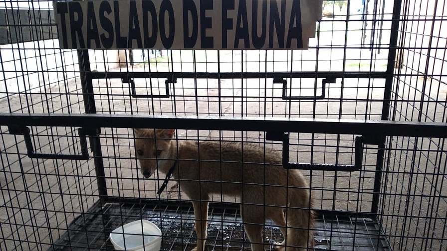 WhatsApp-Image-2021-10-05-at-17.59.09-2