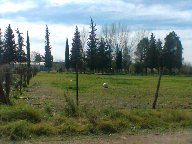 multimedia.normal.8a90bfb5b6defac3.46757475726f206a617264c3ad6e20315f6e6f726d616c2e6a7067