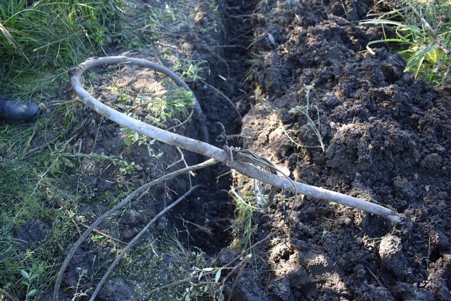 WhatsApp-Image-2022-04-13-at-8.04.34-PM1