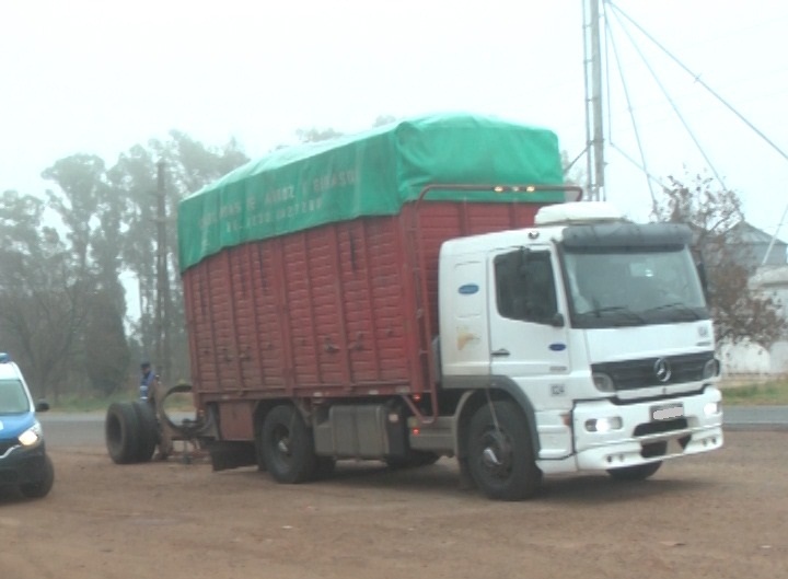 WhatsApp-Image-2022-07-06-at-10.00.55-AM