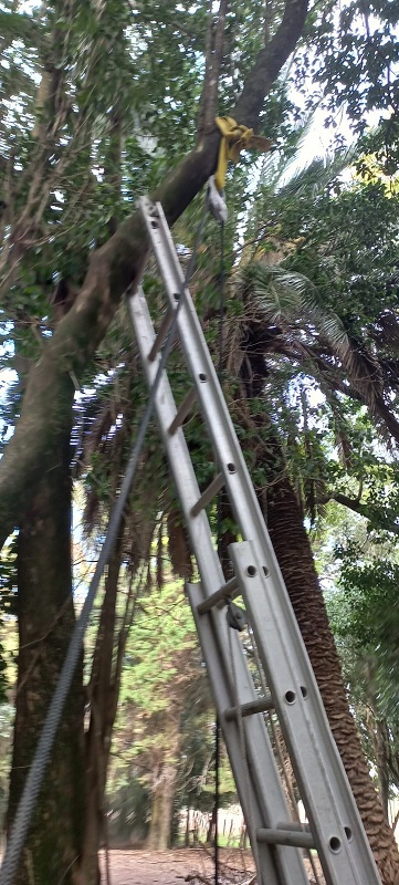 WhatsApp-Image-2022-07-23-at-8.48.59-PM1