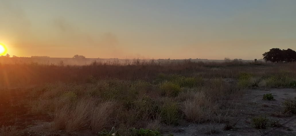 WhatsApp-Image-2022-08-19-at-8.15.40-PM2