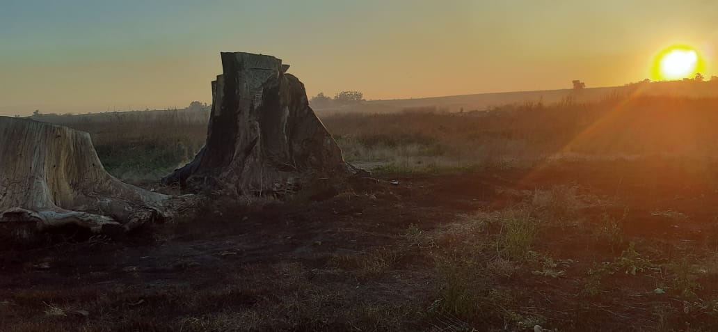 WhatsApp-Image-2022-08-19-at-8.15.42-PM