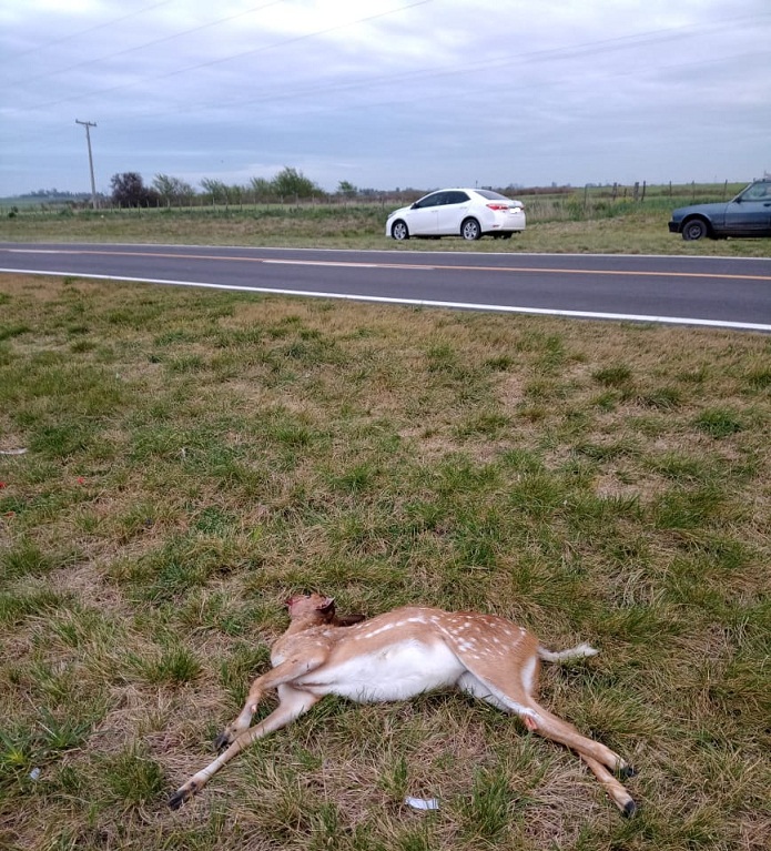 WhatsApp-Image-2022-10-06-at-11.25.27