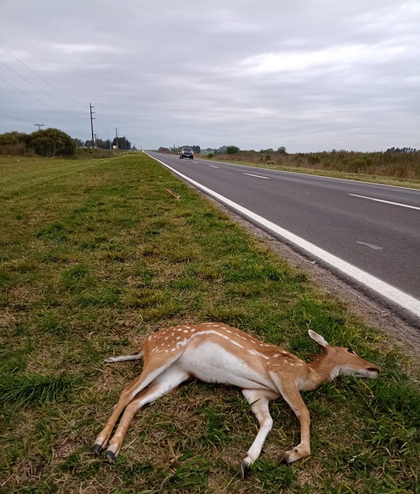 WhatsApp-Image-2022-10-06-at-11.25.42