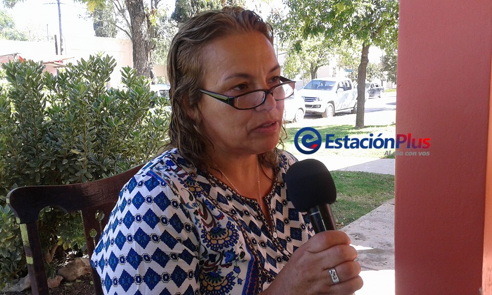 salomon-gladis-marca