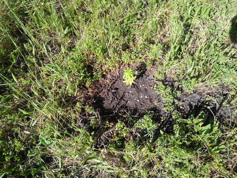 WhatsApp-Image-2022-11-09-at-09.57.05