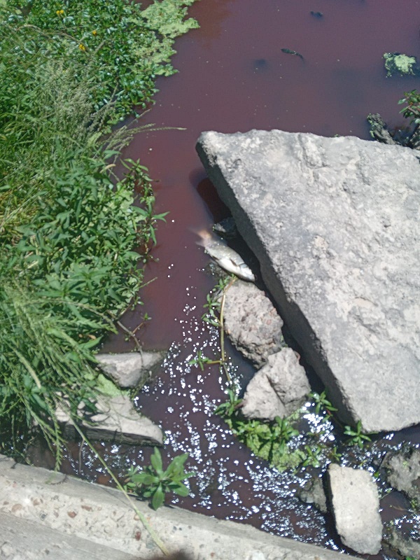 WhatsApp-Image-2022-11-16-at-21.54.47