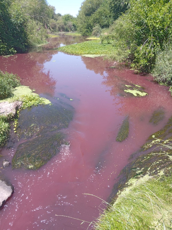 WhatsApp-Image-2022-11-16-at-21.54.50