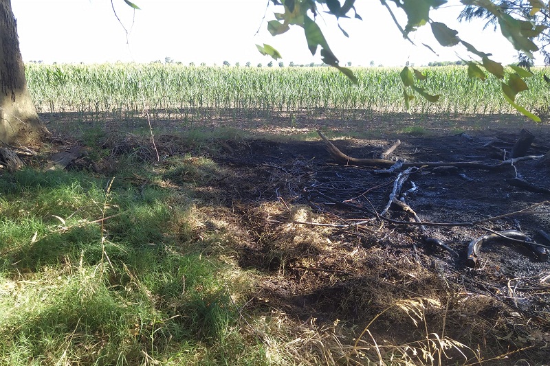 WhatsApp-Image-2022-12-04-at-21.25.03