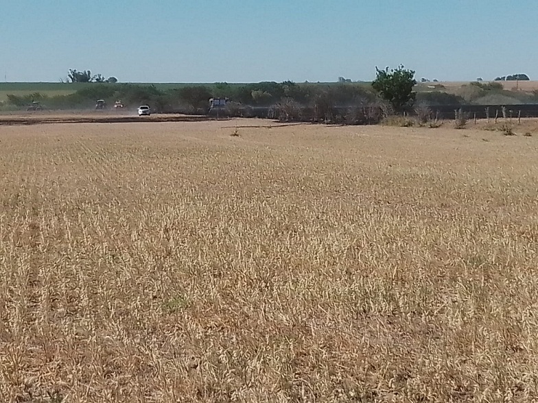 WhatsApp-Image-2022-12-05-at-6.41.30-PM1