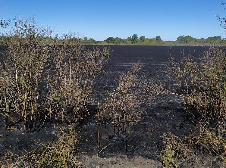 WhatsApp-Image-2022-12-05-at-6.46.54-PM