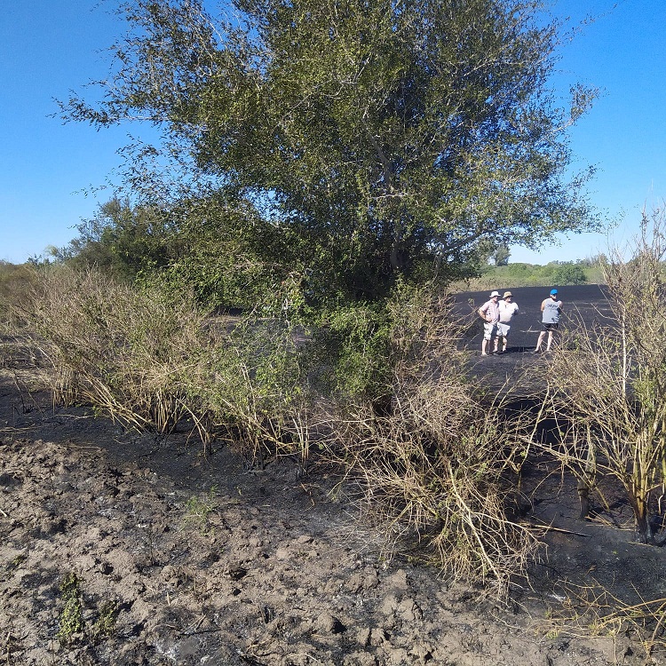 WhatsApp-Image-2022-12-05-at-6.46.55-PM