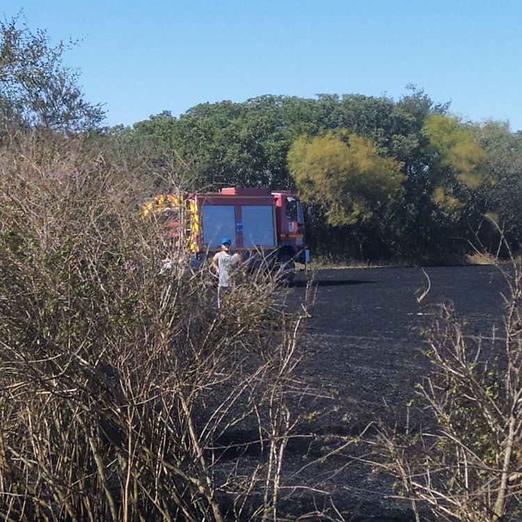 WhatsApp-Image-2022-12-05-at-6.46.55-PM3