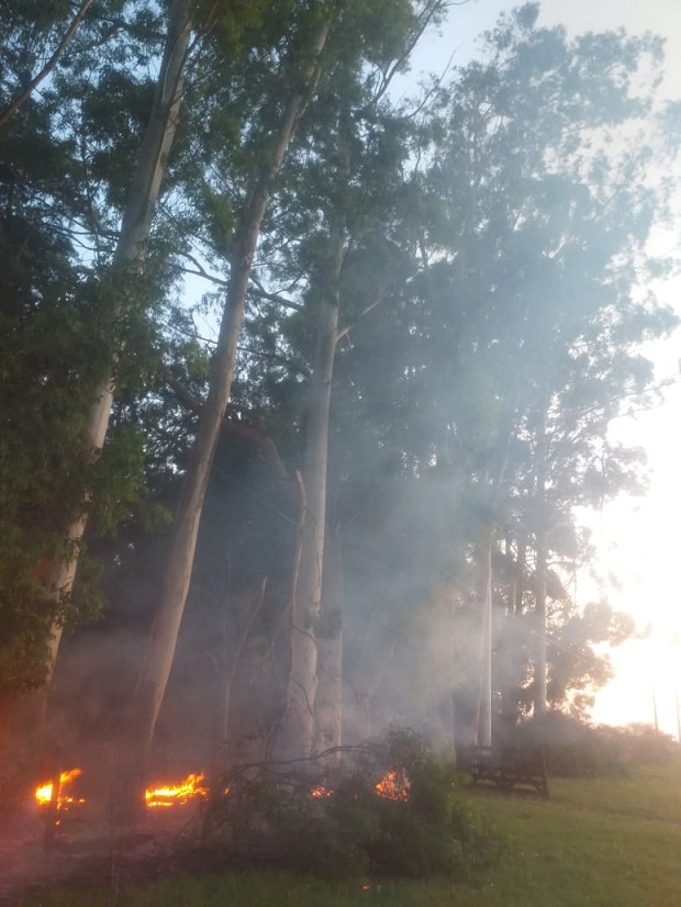 WhatsApp-Image-2023-02-28-at-07.42.331