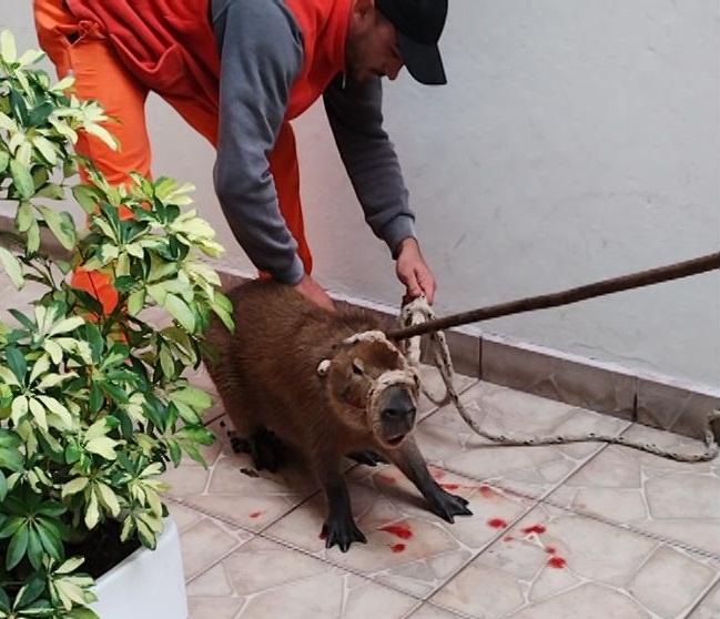 WhatsApp-Image-2023-04-25-at-11.38.49