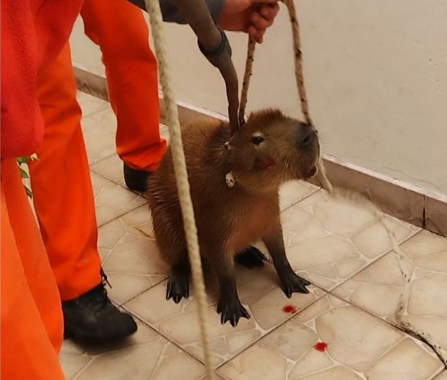 WhatsApp-Image-2023-04-25-at-11.38.491