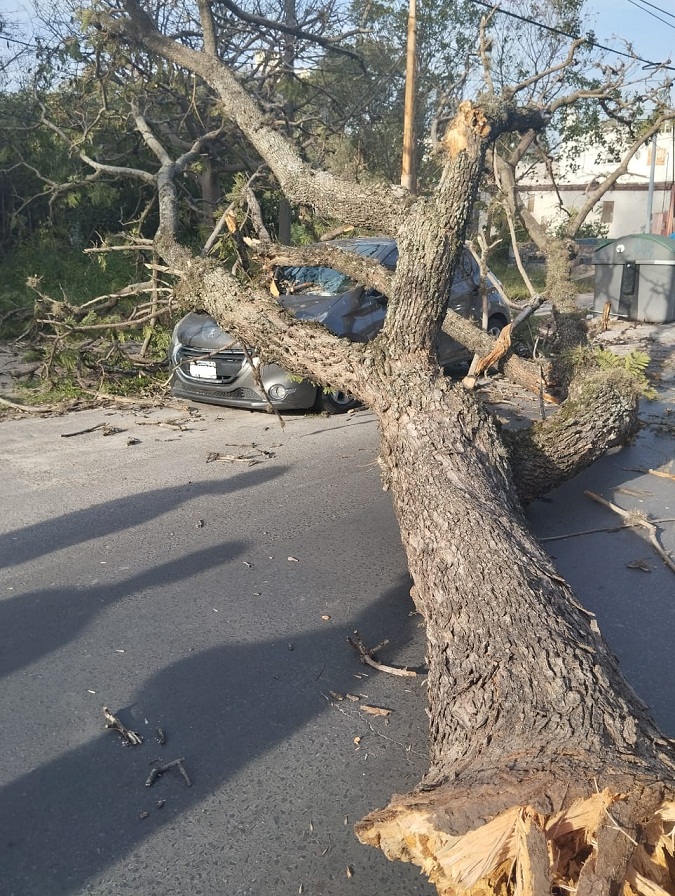 WhatsApp-Image-2023-09-11-at-18.31.18