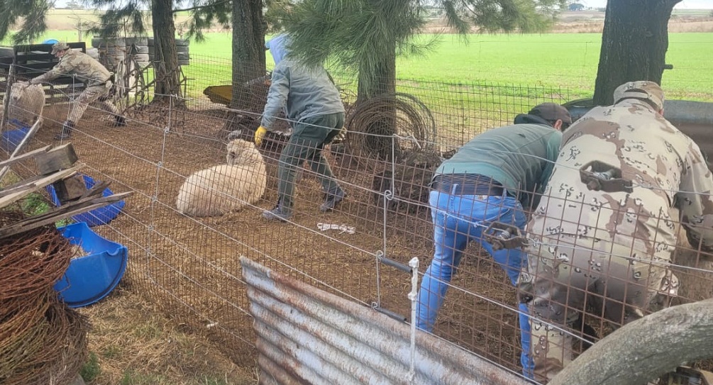 WhatsApp-Image-2024-06-25-at-11.34.241