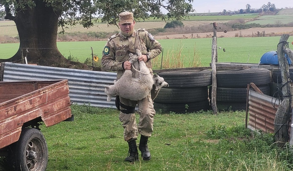 WhatsApp-Image-2024-06-25-at-11.34.25