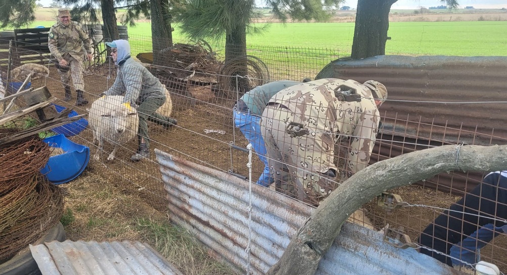 WhatsApp-Image-2024-06-25-at-11.34.251