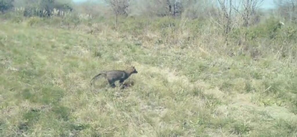 WhatsApp-Image-2024-08-26-at-15.38.501-1024x472